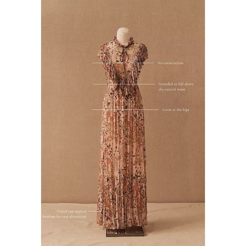 BHLDN Sheer Floral Ruffle Chiffon Maxi Dress - Picture 4 of 8